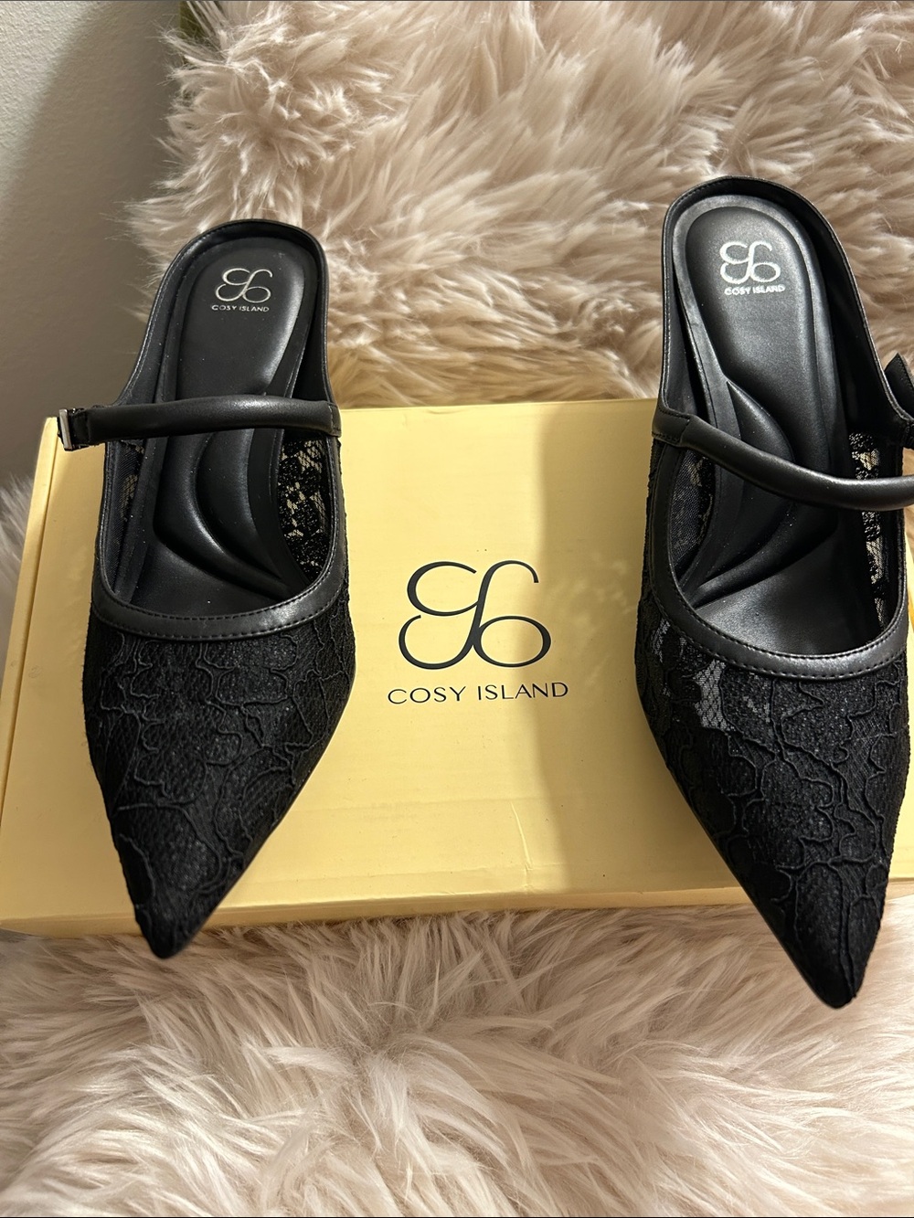 Women's Black Lace Pointed Toe Mary Jane style heels.